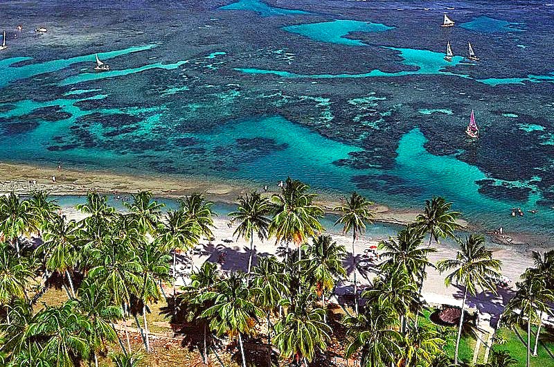 UMA VIAGEM HISTÓRIA À PORTO DE GALINHAS