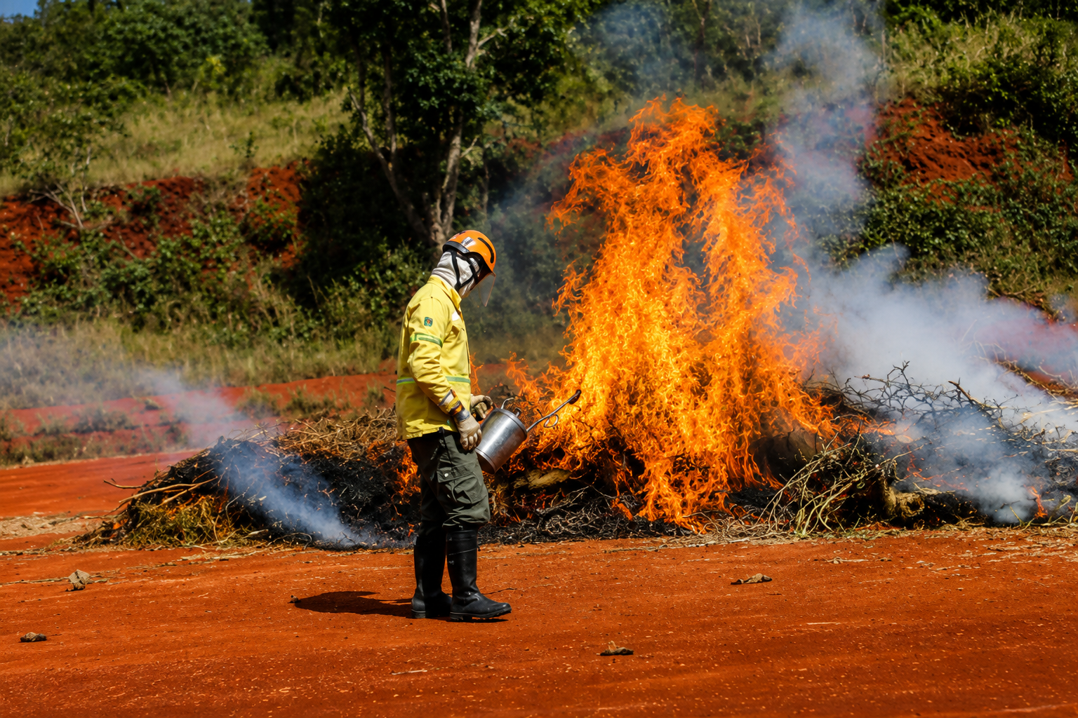 Ação humana causa 9 em cada 10 incêndios em São Paulo