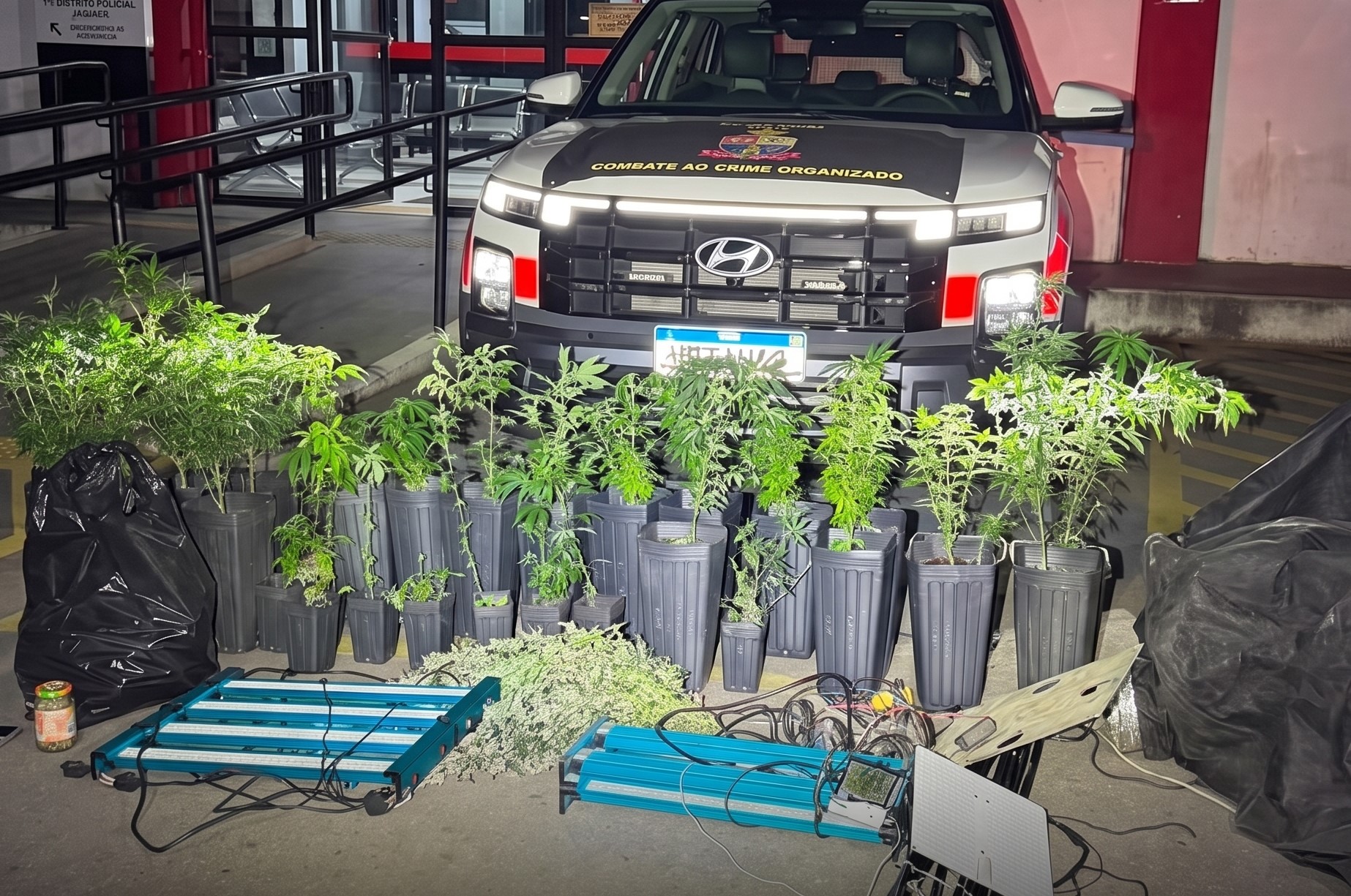 PM DESMANTELA LABORATÓRIO DE MACONHA NA ZONA NORTE DE SÃO PAULO 
